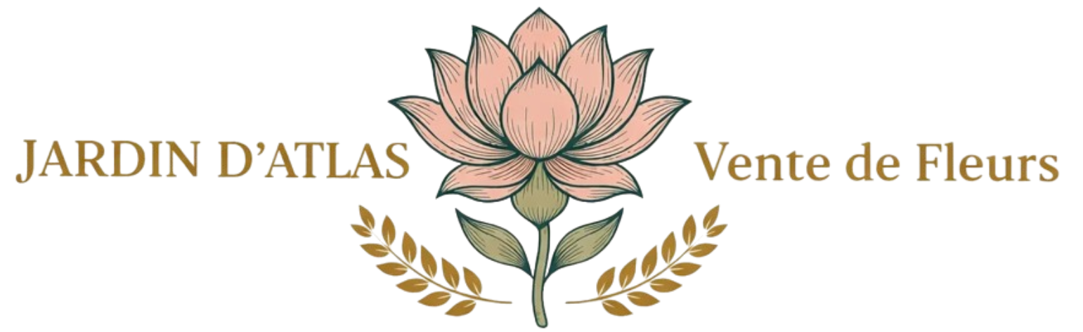 L'élégance en pleine floraison.